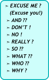  ➣ EXCUSE ME ?    
     (Excuse you!)
   ➣ AND ??
   ➣ DON’T !
   ➣ NO !
   ➣ REALLY ?    ➣ SO ??
   ➣ WHAT ??
   ➣ WHO ??
   ➣ WHY ?

   