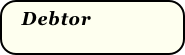  Debtor
